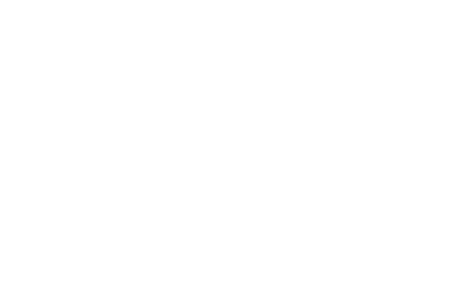 Zuelo